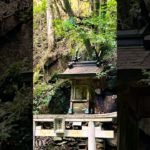 眺めるだけで瞑想Time🧘‍♀️龍鎮の滝　龍鎮神社　#瞑想 #癒し #滝#龍神#マイナスイオン#マインドフルネス