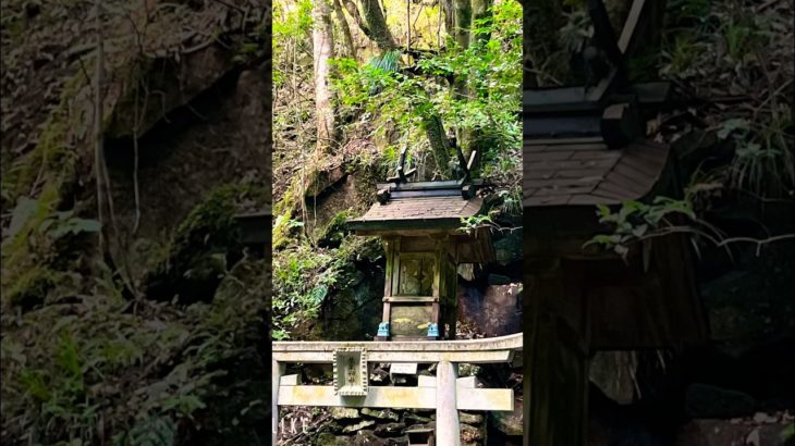 眺めるだけで瞑想Time🧘‍♀️龍鎮の滝　龍鎮神社　#瞑想 #癒し #滝#龍神#マイナスイオン#マインドフルネス