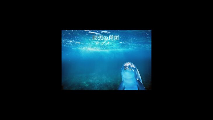 瞑想の種類/Types of Meditation#睡眠雑学 #寝れない時に聴く #睡眠