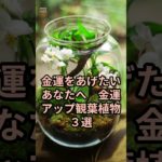 ３６　#占い#風水#おまじない#スピリチュアル#開運　チャームチャンネルVOICEVOX:小夜/SAYO