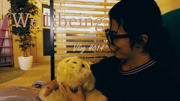 ウェルビーイングはじめました 【丁寧な暮らし】 【Vlog #014】