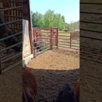 We separate for the health and well being of everyone involved.