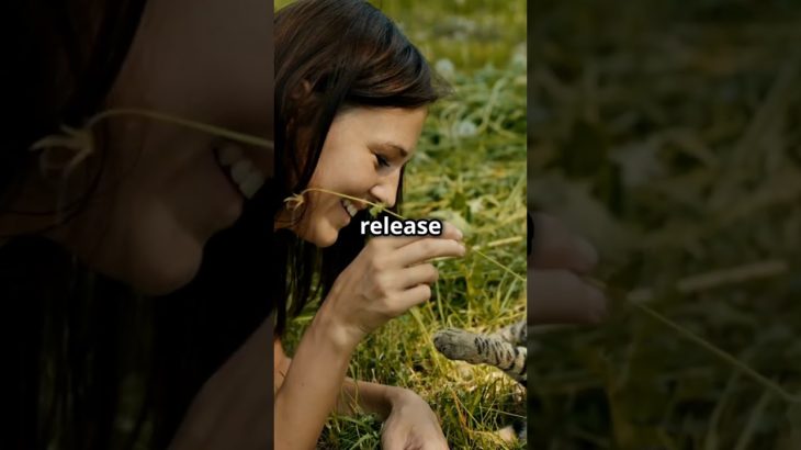 Why Laughter is Key to Well-Being! 😂 | The Science Behind a Good Laugh