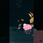 秋の疲れ #リフレッシュ #癒し #リラクゼーション #chill #relax #癒されるリラクゼーション #瞑想 #夜の瞑想 #癒される音楽 #睡眠用bgm