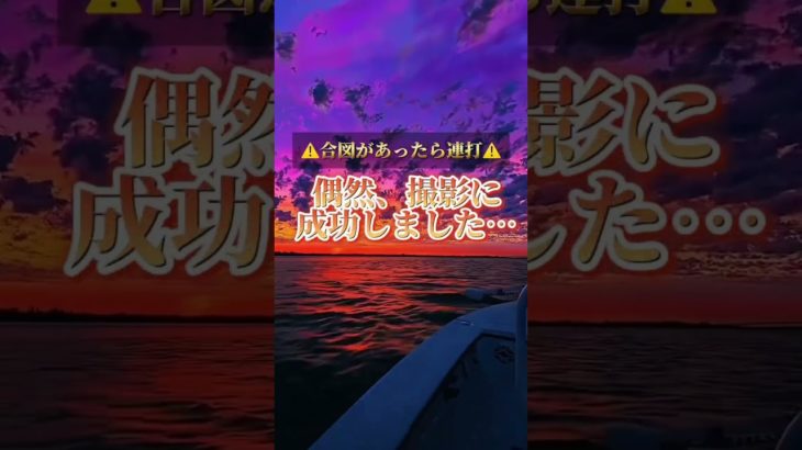 偶然撮影に成功しました #piano #ピアノ #music #cover #bgm #スピリチュアル #占い #金運を上げる音楽 #開運音楽 #名言