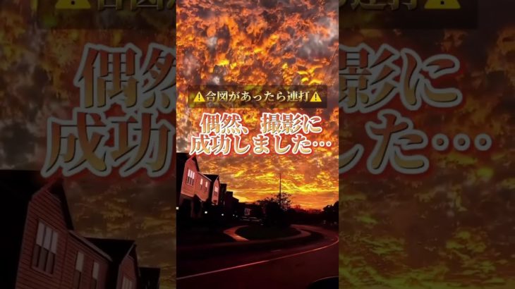 偶然撮影に成功しました #piano #ピアノ #music #cover #bgm #スピリチュアル #占い #金運を上げる音楽 #開運音楽 #名言