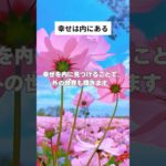 幸せは内にある #shorts #マインドフルネス #瞑想 #癒し