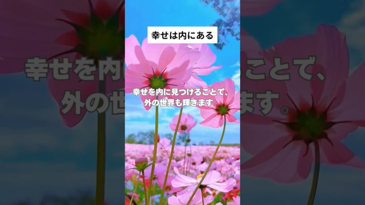 幸せは内にある #shorts #マインドフルネス #瞑想 #癒し