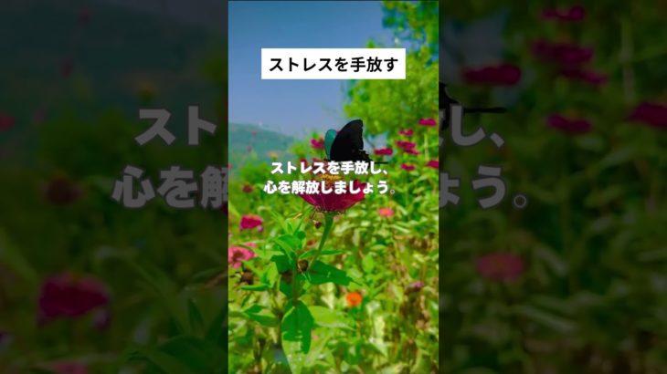 ストレスを手放す #shorts #マインドフルネス #瞑想 #癒し