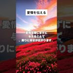 愛情を伝える #shorts #マインドフルネス #恋愛 #瞑想 #癒し