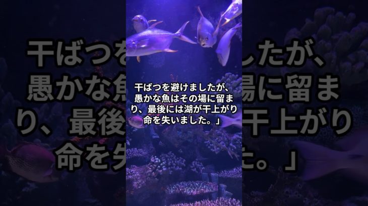 【ブッダの言葉】二匹の魚【毎日更新】 #shorts #ブッダ #スピリチュアル #ブッダの言葉 #哲学 #幸せ #自己啓発 #悩み解消 #感動する話 #モチベーション動画 #人生の教訓