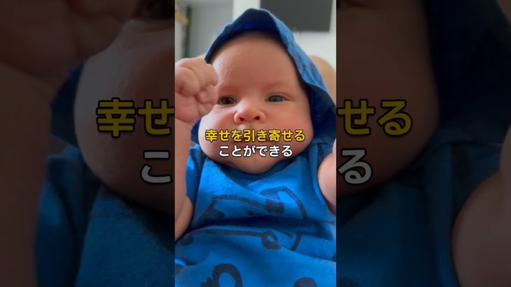 実は恐ろしいほど人生が幸せになる言霊 #shorts  #言霊  #スピリチュアル  #幸福  #引き寄せ