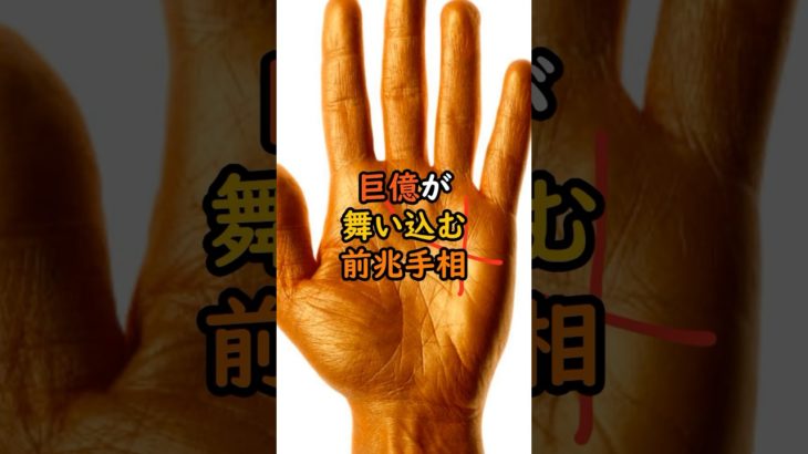 巨億舞い込む前兆手相 #スピリチュアル #サイン #金運 #運 #大金 #開運 #幸運 #財運 #風水 #占い #手相 #shorts