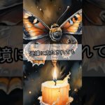 【蛾のスピリチュアルな意味】闇の中で光を見つける存在 #shorts