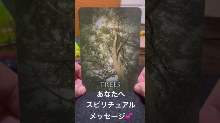 あなたへ💕スピリチュアルメッセージ‼️オラクルカードリーディング💕