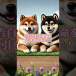 恋愛無料診断はプロフィールから #恋愛成就 #恋愛運 #スピリチュアル