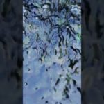 【スピリチュアル】箱根九頭龍神社　龍神水をパワーストーンと龍の置物を清めてパワーチャージしてきました!飲めて邪気を浄化して恋愛運アップするみたいです!