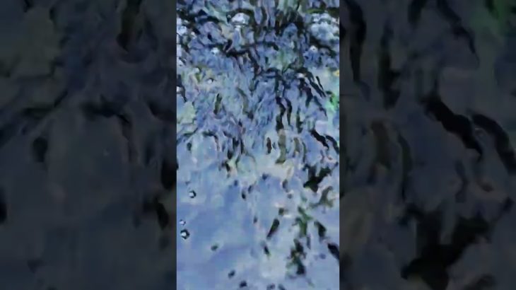 【スピリチュアル】箱根九頭龍神社　龍神水をパワーストーンと龍の置物を清めてパワーチャージしてきました!飲めて邪気を浄化して恋愛運アップするみたいです!