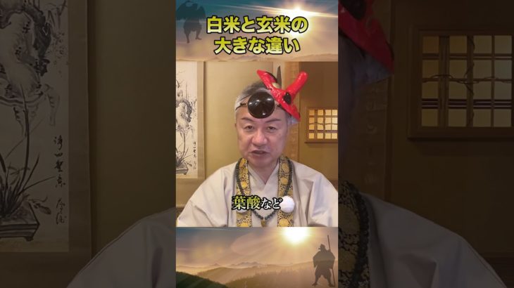 白米と玄米の大きな違い #栄養 #食糧危機 #スピリチュアル