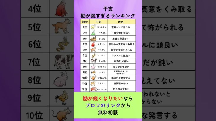 干支別 勘が鋭すぎるランキング #占い #占い師 #スピリチュアル #干支 #ランキング