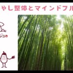 下地町 整体 – マインドフルネス 親子に来ていただいて施術してた後のやりとりがマインドフルネスにつながると感じた代表のお兄ちゃん