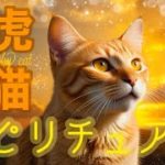 茶虎猫　スピリチュアル
