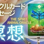瞑想【オラクルカード】現像を越えた癒し｜トンボのスピリットが導く真実への瞑想｜あなたに届いたオラクルメッセージをイメージで受け取る癒しの時間♡