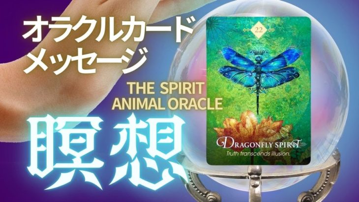 瞑想【オラクルカード】現像を越えた癒し｜トンボのスピリットが導く真実への瞑想｜あなたに届いたオラクルメッセージをイメージで受け取る癒しの時間♡
