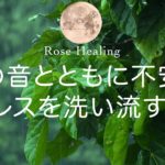 【１２分瞑想】癒しの雨音に耳を傾け心をクリアにする睡眠瞑想～不安やストレスを雨音と洗い流す時間～