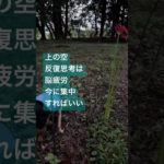 #マインドフルネス　#今ここ　#ヨガ　#初心者