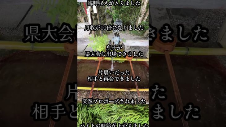 お祓い　浄化　一万人に一人しか見えません【出雲大神宮神社遠隔参拝】 #大国主 #運気上昇 #パワースポット #遠隔参拝 #スピリチュアル #金運上昇#出雲大神宮#運気アップ #京都 #開運祈願