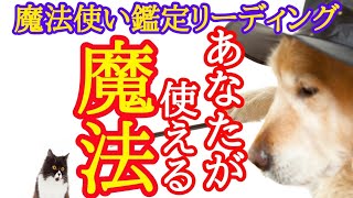 【魔法使い🧙リーディング】あなたが使える魔法は⁉️スピリチュアル能力鑑定✴️シンクロニシティを感じる霊感タロット占い