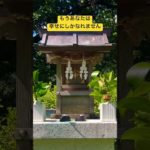 ✨見逃し厳禁✨この動画を見ているだけでイザナギ様とイザナミ様の絶大な御加護が降り注ぎます！ #運気上昇 #スピリチュアル #パワースポット #イザナギ #イザナミ #遠隔参拝
