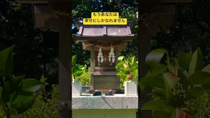 ✨見逃し厳禁✨この動画を見ているだけでイザナギ様とイザナミ様の絶大な御加護が降り注ぎます！ #運気上昇 #スピリチュアル #パワースポット #イザナギ #イザナミ #遠隔参拝