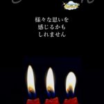 光と影が織りなす世界【アマテラスからのスピリチュアルメッセージ】