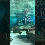 【知らないと大損】自己愛とわがままの違い#スピリチュアル #自己愛 #ご自愛 #自己肯定感