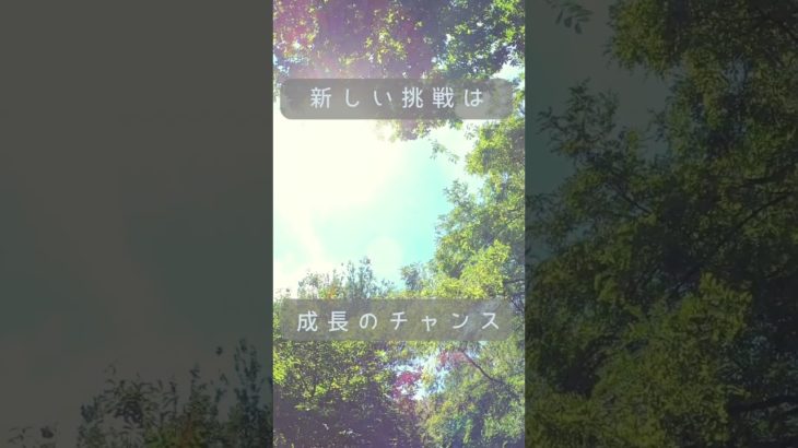 #言霊の力#波動の法則 #スピリチュアル