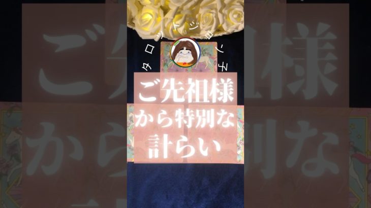 【ご先祖様から特別な計らい】 #スピリチュアルメッセージ #占い #タロット #霊界からメッセージ #言霊 #恋愛 #霊感 #スピリチュアルタロット #宇宙の法則 #引き寄せの法則 #ソウルメイト
