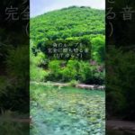 偶然撮影できました… #スピリチュアル #占い #運気を上げる #名言 #運気 #運気アップ #恋愛 #開運音楽 #言葉 #金運を上げる音楽