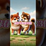 恋愛無料診断はプロフィールから #恋愛成就 #恋愛運 #スピリチュアル