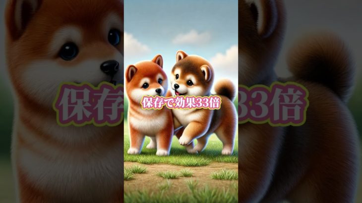 恋愛無料診断はプロフィールから #恋愛成就 #恋愛運 #スピリチュアル