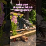 ⚠️強力浄化⚠️10秒見るだけです！あなたは浄化の力で幸福を引き寄せます🌈✨ #浄化 #運気上昇 #スピリチュアル #パワースポット  #遠隔参拝