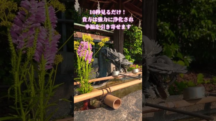 ⚠️強力浄化⚠️10秒見るだけです！あなたは浄化の力で幸福を引き寄せます🌈✨ #浄化 #運気上昇 #スピリチュアル #パワースポット  #遠隔参拝