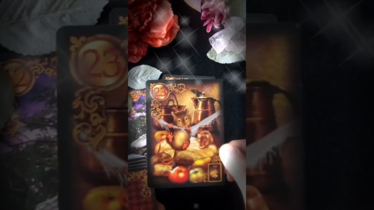 2倍速🌝通常VerはTiktokへ#占い #タロット #fortune #スピリチュアル #恋愛タロット #おみくじ #恋占 #音信不通 #タロットリーディング #恋愛心理学 #恋愛運 #復縁したい