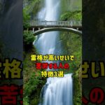 霊格が高いせいで苦労する人の特徴3選 #スピリチュアル #霊格 #苦労
