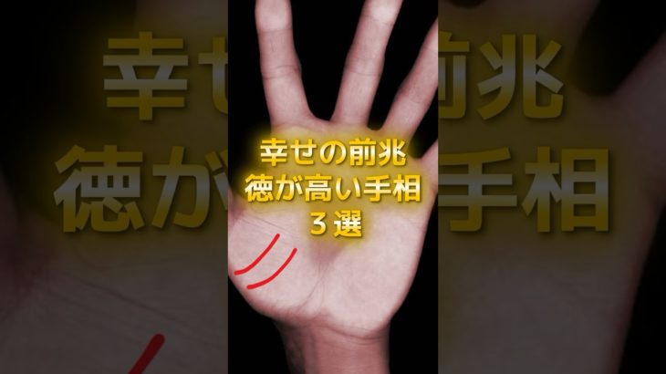幸せの前兆！徳が高い人の手相3選 #スピリチュアル #サイン #金運 #運 #大金 #開運 #幸運 #財運 #風水 #占い #手相 #shorts
