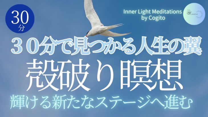 【30分瞑想】癒しと解放の瞑想｜新たな自分｜新たなステージ｜心の自由と可能性を解放｜#自己成長 #ストレス解消 #心の自由 #癒し #潜在意識 #メンタルケア #マインドフルネス