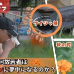 【40歳・50歳からのマインドフルネス的ステキな生き方】なぜ若者はハロウィンに夢中になるのか