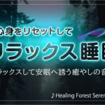 【528Hz 森の瞑想音楽】リラックスして安眠へ誘う癒やしの音楽