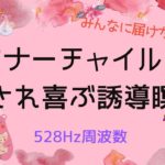 【癒しの誘導瞑想】【528Hz】インナーチャイルド癒しの瞑想